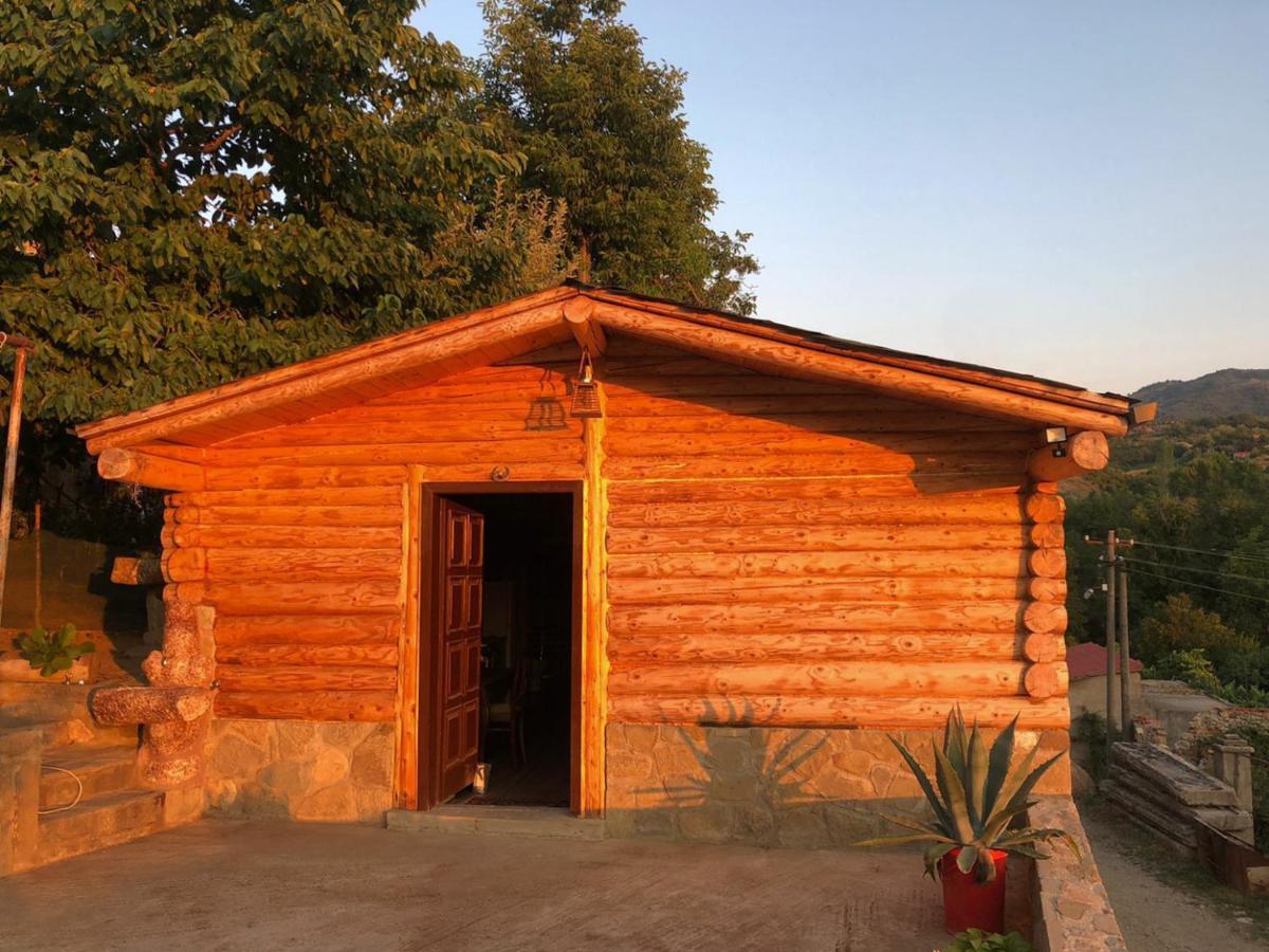 Lodges Veis Kamenice Bagian luar foto